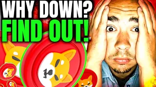 🤯 WHY IS SHIBA INU COIN PRICE DOWN! IS IT OVER FOR SHIBA INU?‼️