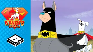 Krypto the Superdog | Ace the Bat-Hound teams up with Krypto | Boomerang UK