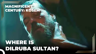 Zulfikar is Tortured | Magnificent Century: Kosem