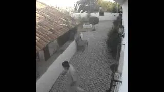 Crime in the Algarve, Portugal