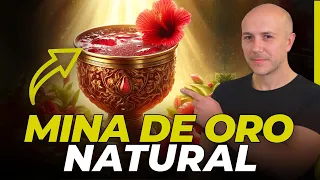 ¡SUPER BEBIDA llena de beneficios! Una Mina de ORO natural en la FLOR DE JAMAICA (hibisco)