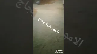 الأمور طيبة يا حاج بإذن الله 🤲💞