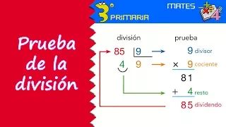 Matemáticas. 3º Primaria. Tema 8. Prueba de la división