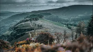 Буремний перевал / Емілі Бронте / Розділ 1 / Аудіокнига