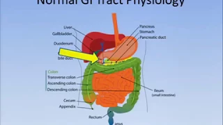 CF Foundation | NACFC 2012: Plenary 2