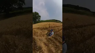 UN CROP CIRCLE DANS LE PUY DE DÔME  #shorts #paranormal