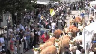 Simmentaler-Züglete Jodlerfest Gstaad