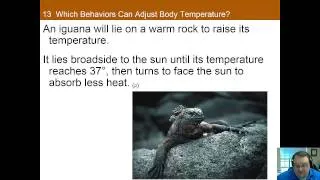 Chapter 13 Part A: Homeostasis: Active Regulation of Internal States