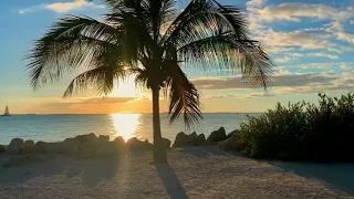 Beach Footage Nature  - No Copyright