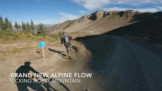 New Alpine Flow Trail (4k) Kicking Horse, Golden BC