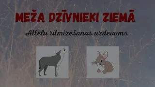 Meža dzīvnieki - vilks un zaķis - Attēlu ritmizēšanas uzdevums