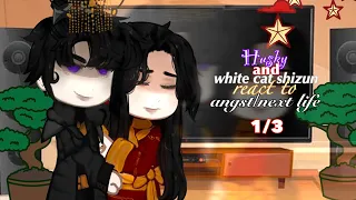 Husky and his white cat shizun react to angst/next life | Gacha Club | 1/3