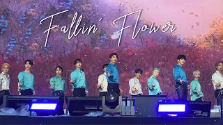 [세븐틴] Failin' Flower 직캠(정면 FULL CAM)_220327 캐럿랜드