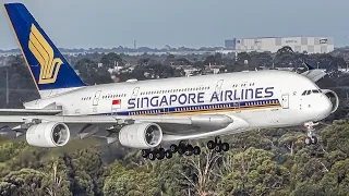 STUNNING Early Morning TAKEOFFS and LANDINGS at the T4 CARPARK | Melbourne Airport Plane Spotting