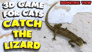 3D game for cats | CATCH THE LIZARD (isometric view) | 4K, 60 fps, stereo sound