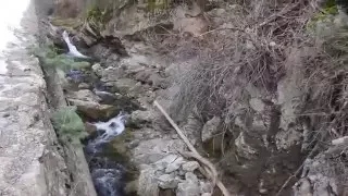 Bigfoot Sighting in Utah Payson Canyon Send In