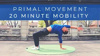 Build MOBILITY & STRENGTH without weights | Primal Movement Bodyweight Workout