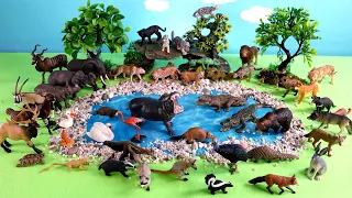 Fun Dioramas For Safari Animal Figurines - Endangered Animals