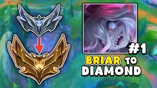 How to play Briar Jungle | Unranked to Diamond #1 | League of Legends Briar Jungle Gameplay Guide