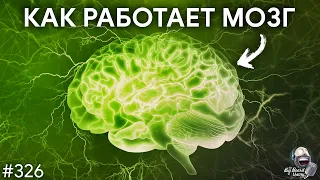 Как работает мозг — нейрофизиология и опыты на животных | TBBT 326