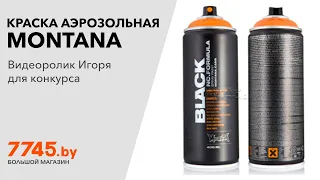 Краска аэрозольная MONTANA Black BLK9100 Snow White 400 мл Видеоотзыв (обзор) Игоря