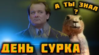 День Сурка: Самые Интересные Факты о фильме и всё, чего ты не знал.