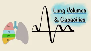 Lung Volumes and Capacities | Spirogram | Spirometry | Respiratory Physiology