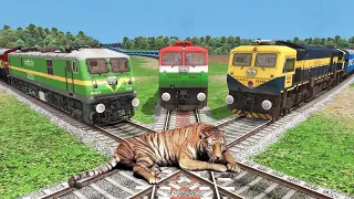 Three Trains vs Giant Tiger | Stops the Train - Train Simulator