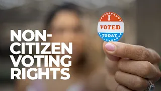 As non-citizens gain voting rights, debate swells in New York and nationwide