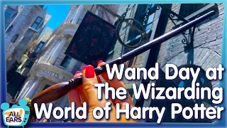 I Bought My Own Harry Potter Wand at Universal Orlando and Now I'm a Witch!