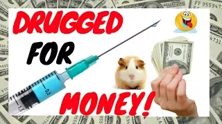 TESTING DRUGS FOR MONEY !!! Human Guinea Pig, Drugged for Cash (NN141)