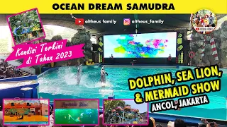 Menonton lumba-lumba, putri duyung, dan singa laut di Ancol | Ocean Dream Samudra