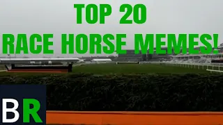 Horse Racing Memes | Top 20 Racehorse Meme Countdown By British Racecourses