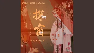 探窗