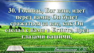 ВидеоБиблия Книга Второзаконие с музыкой глава 1 Бондаренко