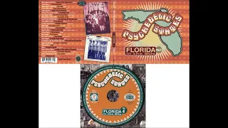 Psychedelic States: Florida Vol. 4