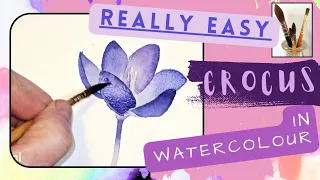 Painting a crocus in watercolor - easy crocus for beginners