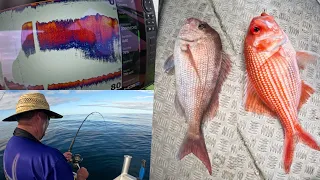 Huge Red Bait School | 80m Jig Fishing | Arrow Squid ON JIG | Bight Redfish & Snapper