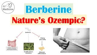 Berberine (Nature’s Ozempic?) | Weight Loss & Metabolism Findings, Mechanism of Action, Side Effects