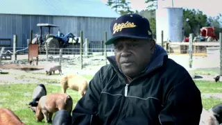 Donnie & Alease Williams (D&A Farms), NC A&T Small Farmer of the Year 2016