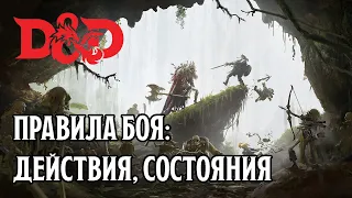 Правила Боя: Действия, Состояния | D&D 5e