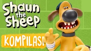 Full Episodes Compilation 5-8 | Shaun the Sheep Season 5