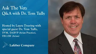 Ask The Vet, Episode 44: Q&A with Tom Tully, DVM, DABVP (Avian Practice), DECZM (Avian)
