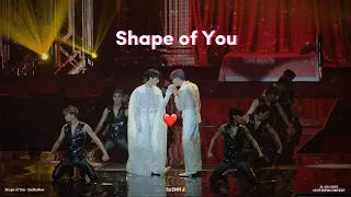 Shape of You - ZeeNuNew - // CUTIEPIECONCERT