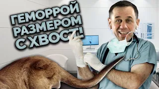 ЗВОНАРЬ ПОЖАЛОВАЛСЯ НА СВОЮ "ПРОБЛЕМКУ"! | Как не платить кредит | Кузнецов | Аллиам