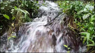 1 Hours Water Flowing Over Rocks - Stream Sounds for Sleeping - Relaxing Nature Video