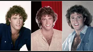 Andy Gibb - Shadow Dancing [Disco Purrfection Version]