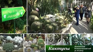 Кактусы, Никитский ботанический сад