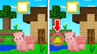 2% Of People Can SPOT THE DIFFERENCE (Minecraft)