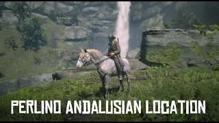 Red Dead Redemption 2: PERLINO ANDALUSIAN *WILD LOCATION*